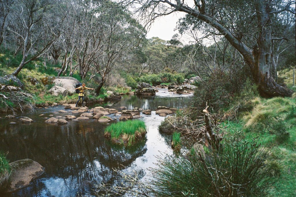 The River crossing, Junction Pools