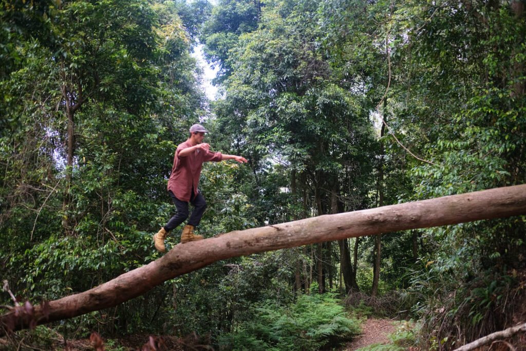 Balance beam