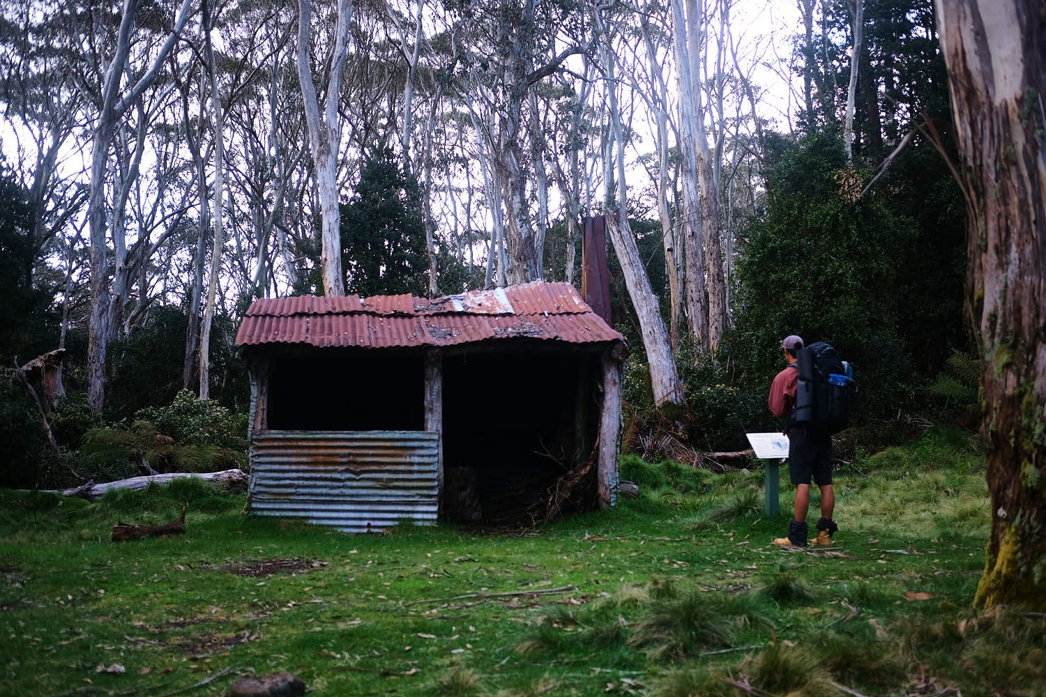 Reading the signage outside Carey's Hut, situated amongst gumtrees