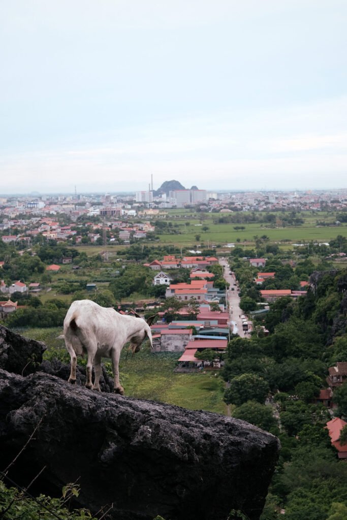 Mua-Cave-Ninh-Binh_31