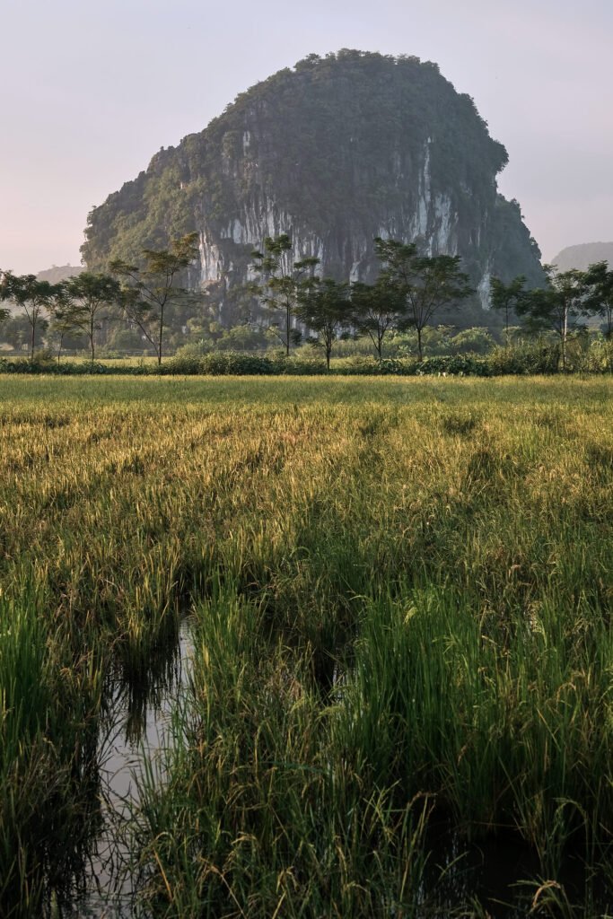 Outskirts of Tam Coc