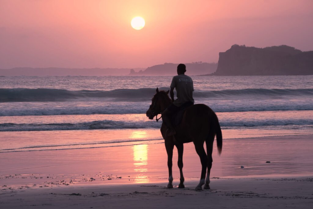 Riding a horse along the beach. Man and beast seem to stop and admire the big red setting sun.