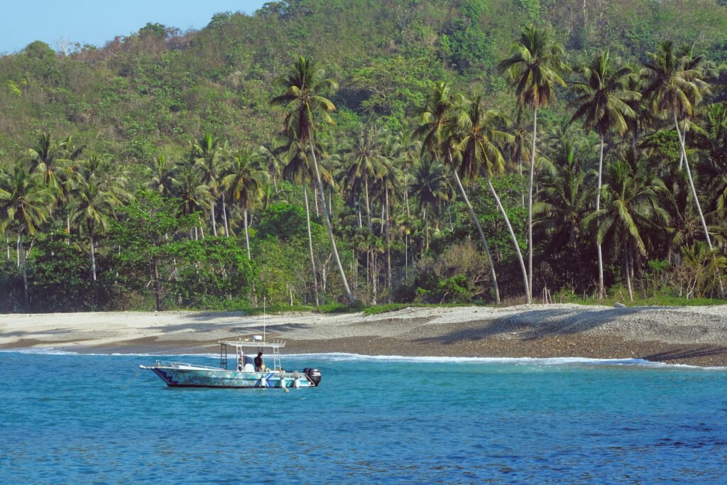 Looking across the bay a boat sits in the channel with coconut trees lining the beach