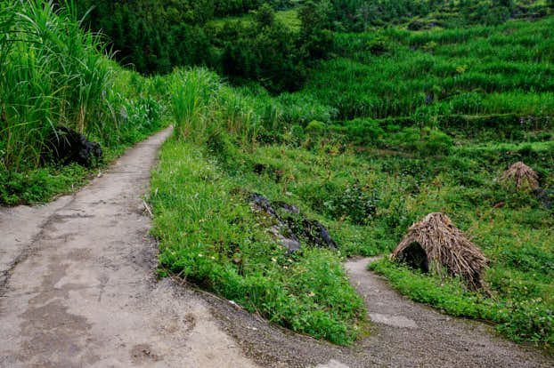 The trail diverges left and right