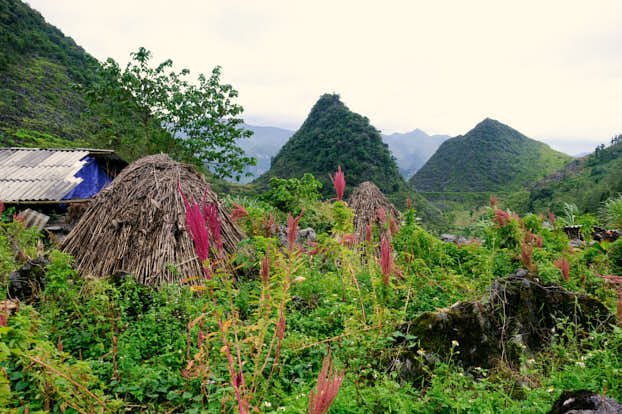 The fields of the village with red wildflowers and the waste of agriculture stacked making for an interesting scene