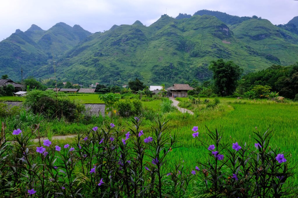 The views from Du Gia Field Homestay, flowers, rural houses and ranges