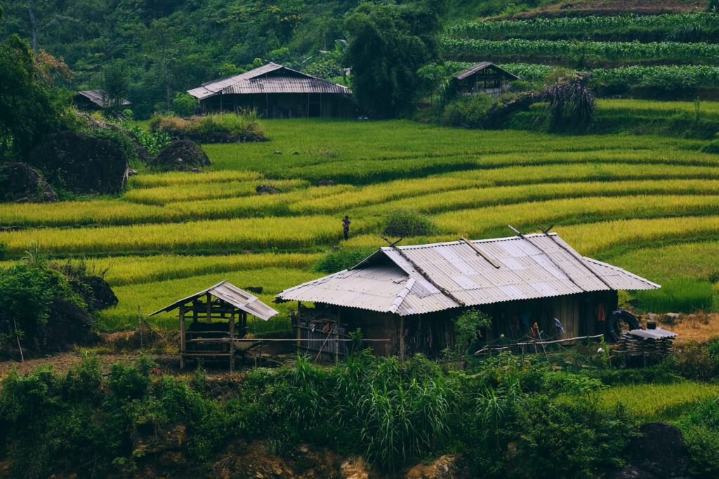 A couple of villagers roam the rice terraces in Du Gia, Ha Giang