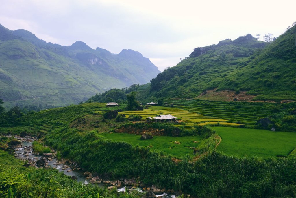 A small farm setting idyllically amongst the valleys of Du Gia. The river runs alongside with tinges of yellow in the field.