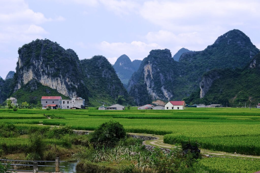 A typical small village in North Vietnam. Big areas used for growing rice, small houses with red roofs lying at the base of karst mountain ranges